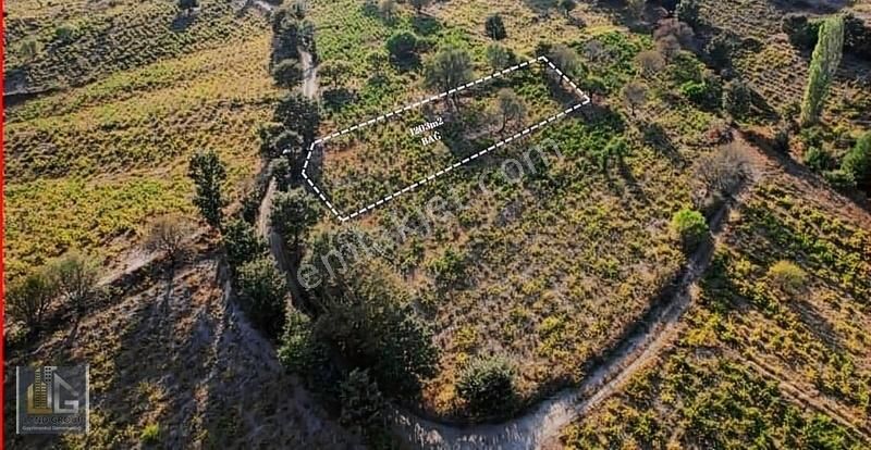 Bayramiç Serhat Köyü Satılık Tarla ÇANAKKALE BAYRAMİÇ SERHAT KÖYÜNDE 1203m2 BAĞ