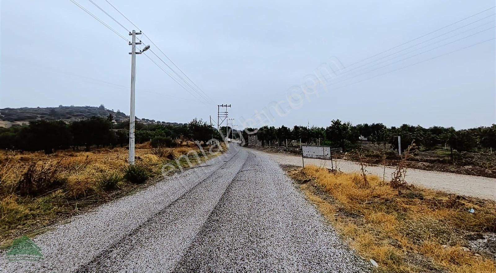 Saruhanlı Gözlet Satılık Bağ & Bahçe Müstakil tapulu hobi bahçesi