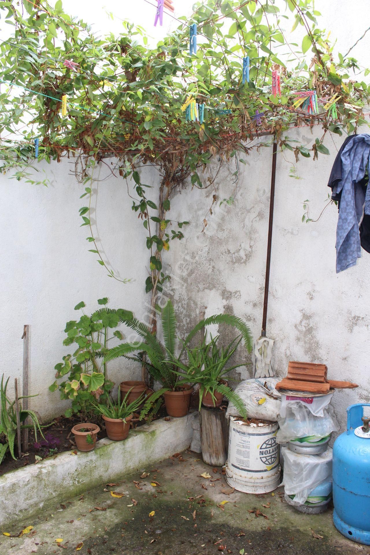 Ayvada'dan Ayvalık Merkez'de 2 Katlı Taş Rum Evi - Görsel 22