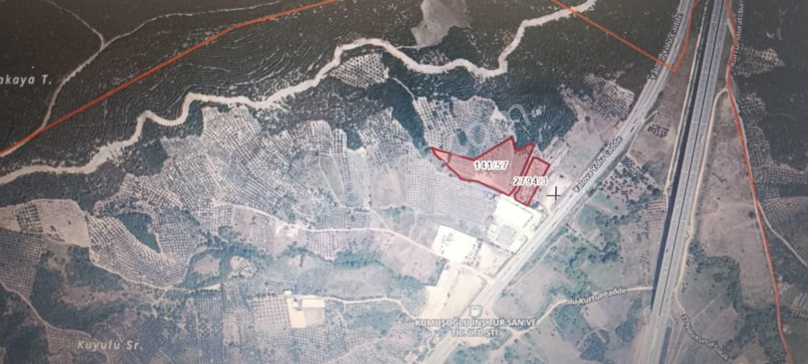 Satılık Arsa Ticari İmarlı Gemlik-bursa Yolu Üzerinde Yola Yakın 3890m2.+ 13926m2.tarla - Görsel 2