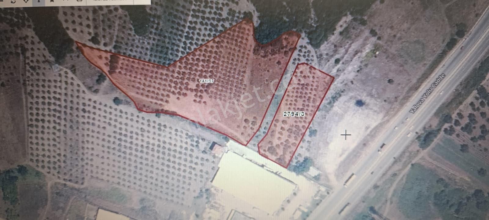 Satılık Arsa Ticari İmarlı Gemlik-bursa Yolu Üzerinde Yola Yakın 3890m2.+ 13926m2.tarla