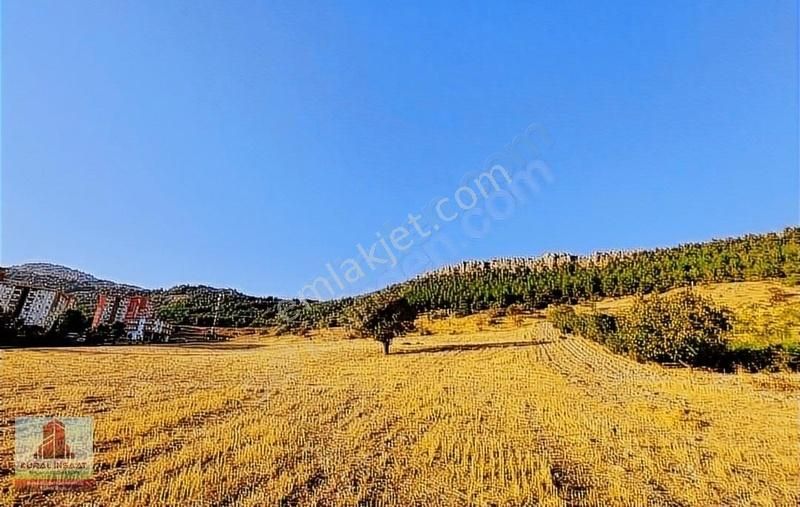 Adıyaman Merkez Esentepe Satılık Konut İmarlı ESENTEPE MAHALLESİ'NDE SATILIK İMARLI YATIRIMLIK ARSA