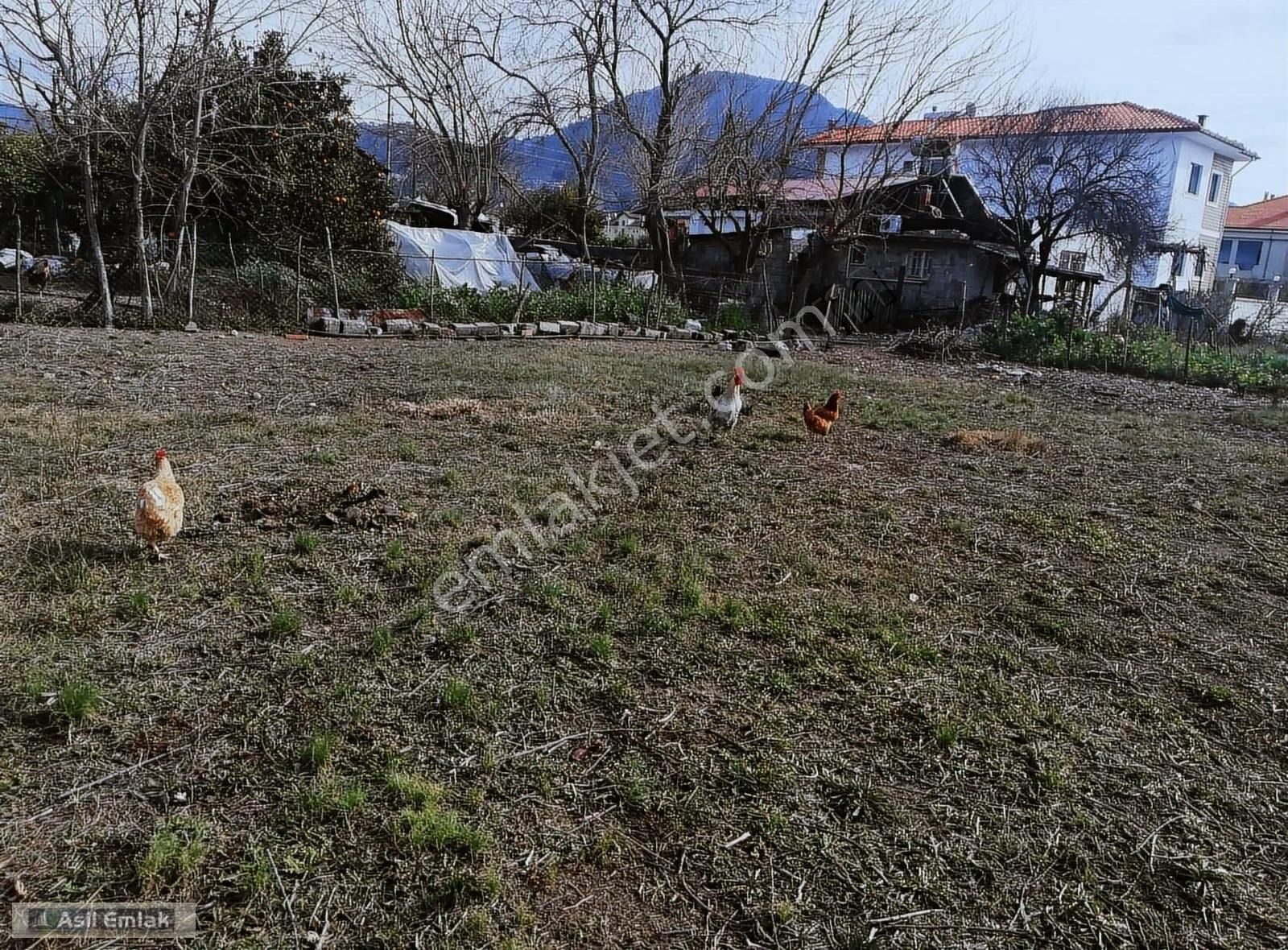 Dalaman Karaçalı Satılık Konut İmarlı Asil Emlaktan Dalaman Karaçalı Mah.de Satılık Arsa