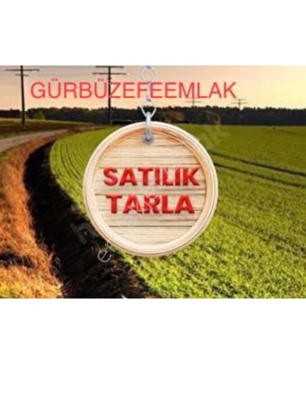 Göksun Doğankonak Satılık Tarla DOĞANKONAK GÖKSUNDA SATILIK TARLA 