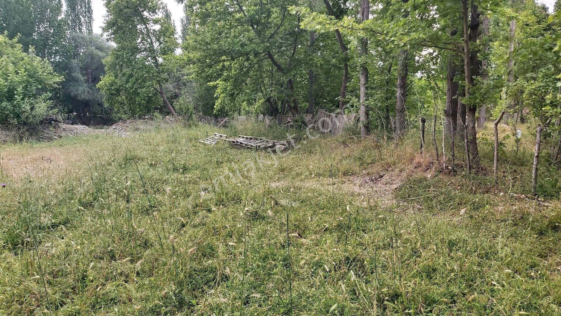 Eryılmaz Gayrimenkul'den Balıkesir Burhaniye Bahadınlı Köyünde Satılık 480 M2 Bahçe - Görsel 24