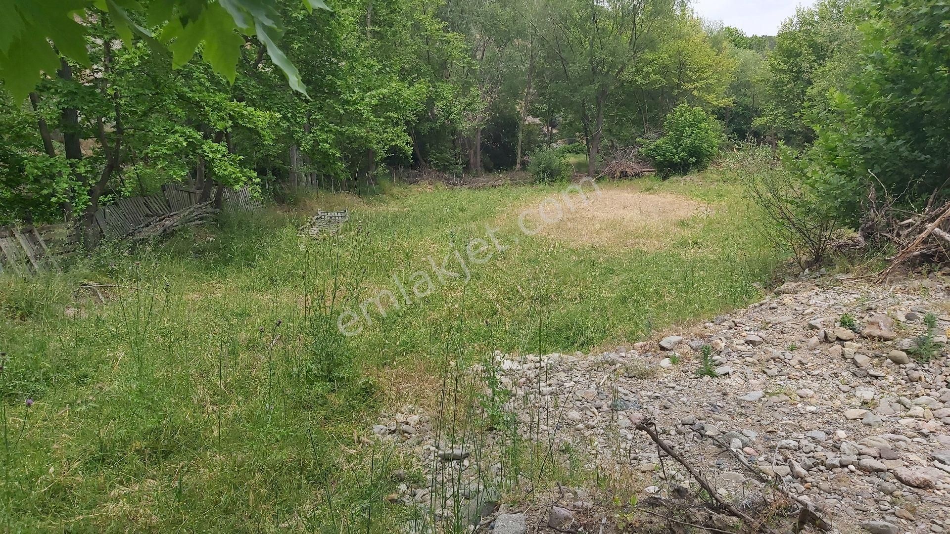 Eryılmaz Gayrimenkul'den Balıkesir Burhaniye Bahadınlı Köyünde Satılık 480 M2 Bahçe - Görsel 7