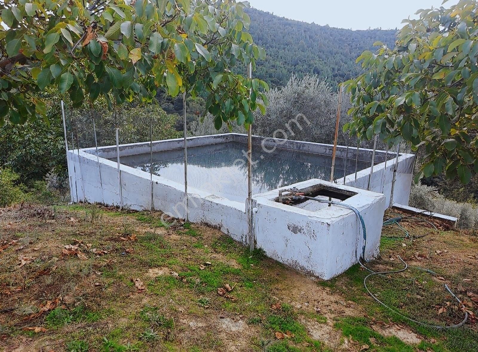 Haydariye Köyünde Deniz Manzaralı - Görsel 8