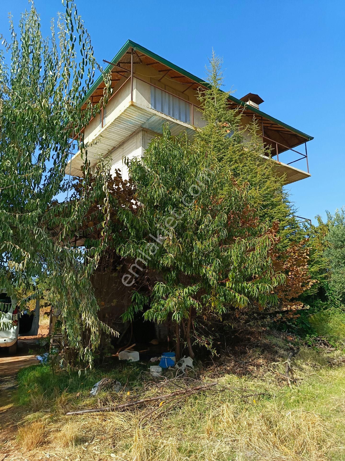 Tavas Yaka Satılık Tarla Tavas Yaka Mah.ceviz/üzüm Bağı/çiftlik Ve Bakıcı Evi Satılıktır