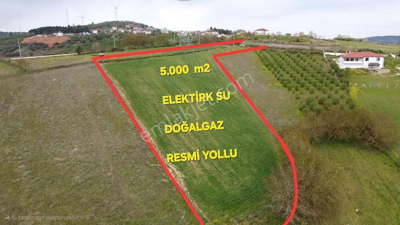 Kandıra Hacımazlda Resmi Yollu 5.000m2 %5 Doğalgaz Elektirik Su Başında