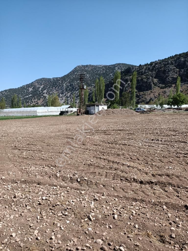 Antalya Elmalı Yuva Mahallesinde Suyu,yolu Bulunan 6.700m2 Yatırıma Uygun Satılık Tarla - Görsel 3