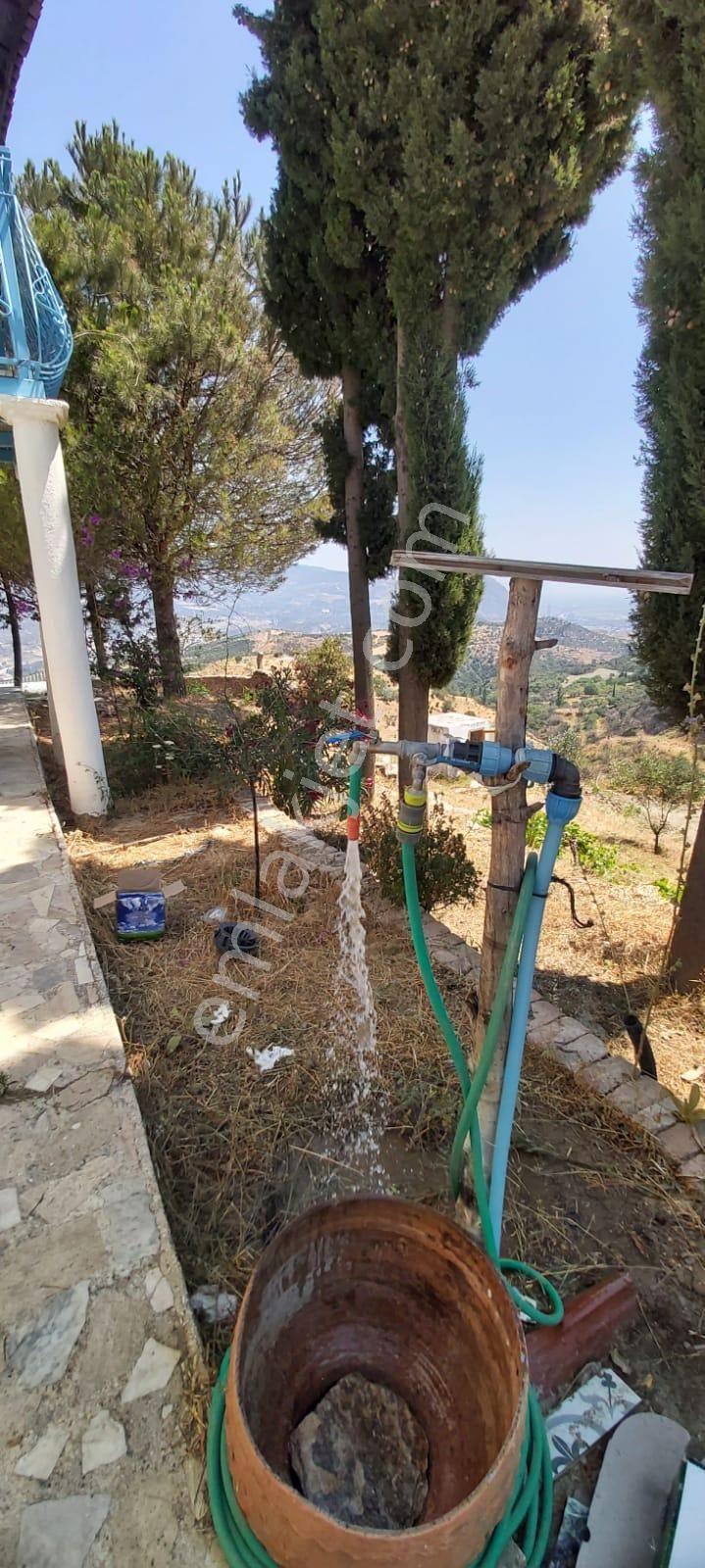 Söke Mimarsan Emlaktan Ağaçlı Mevkisinde Satılık Deniz Manzaralı Zeytinlik - Görsel 23
