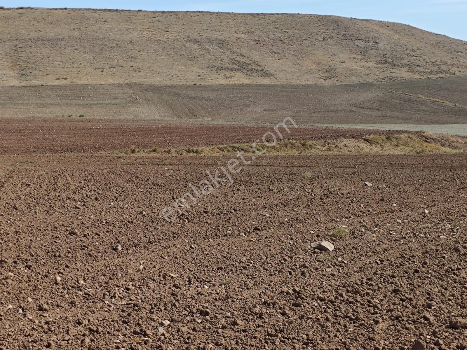 Ayaş Tekke Satılık Tarla Ayaş Tekke Mahallesinde Satılık Tarla