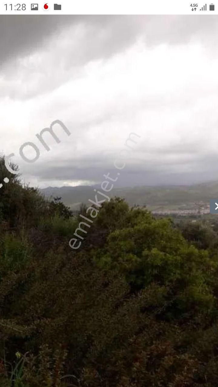 Urla Bademler De Yatırıma Uygun Satılık Tarla