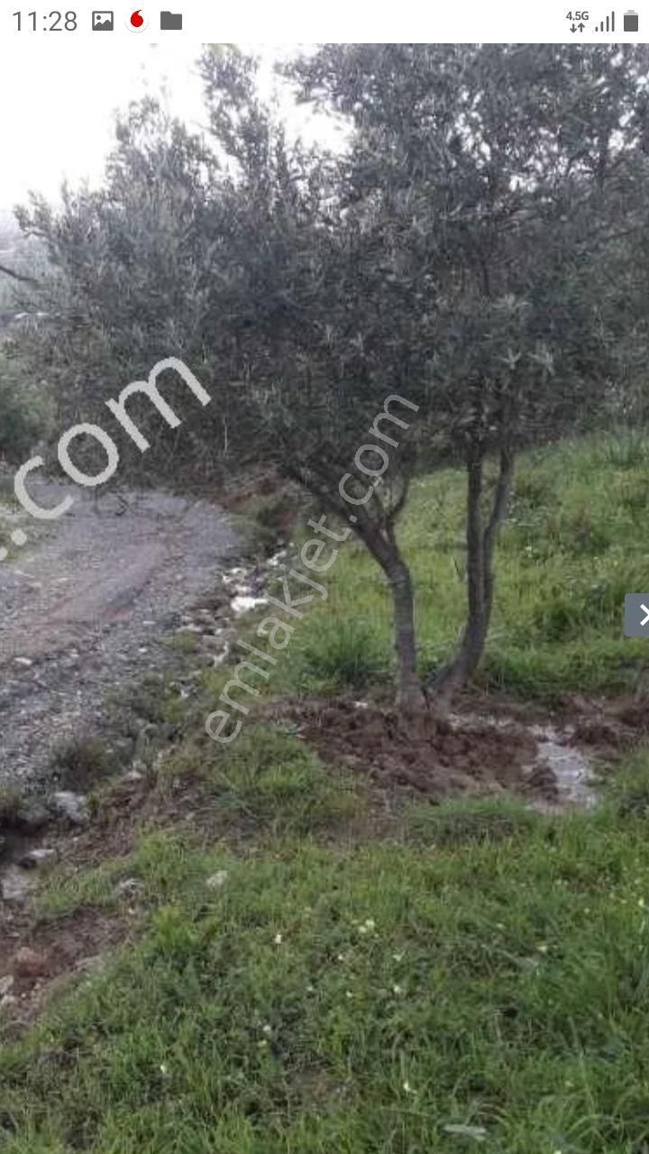 Urla Bademler De Yatırıma Uygun Satılık Tarla - Görsel 11