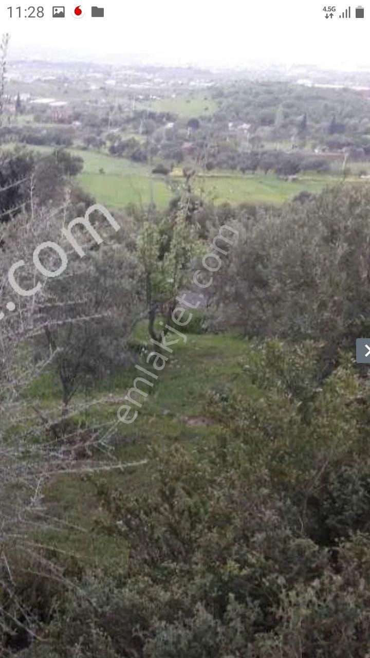 Urla Bademler De Yatırıma Uygun Satılık Tarla - Görsel 13