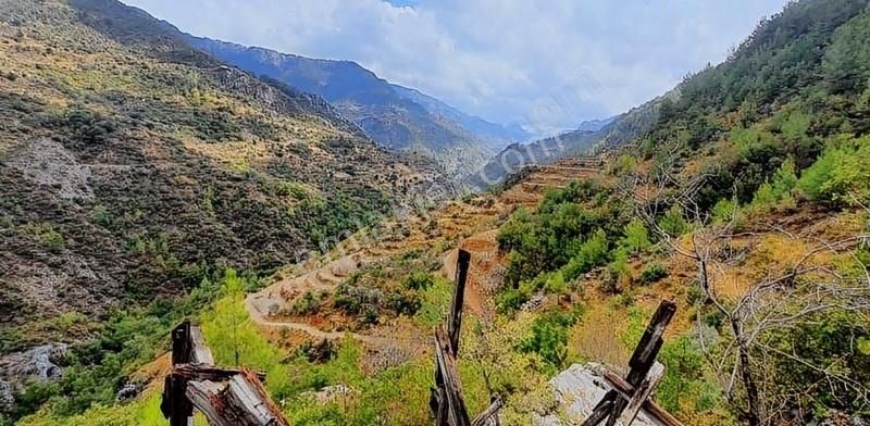 Alanya Süleymanlar Satılık Tarla ALANYA SÜLEYMANLAR ACİL SATILIK 10.000 m2 ARSA