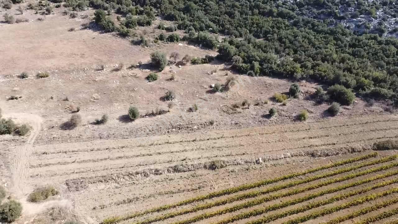 Ulaş Köyü Cok Amaçlı Kullanıma Uygun Satılık Tarla - Görsel 14