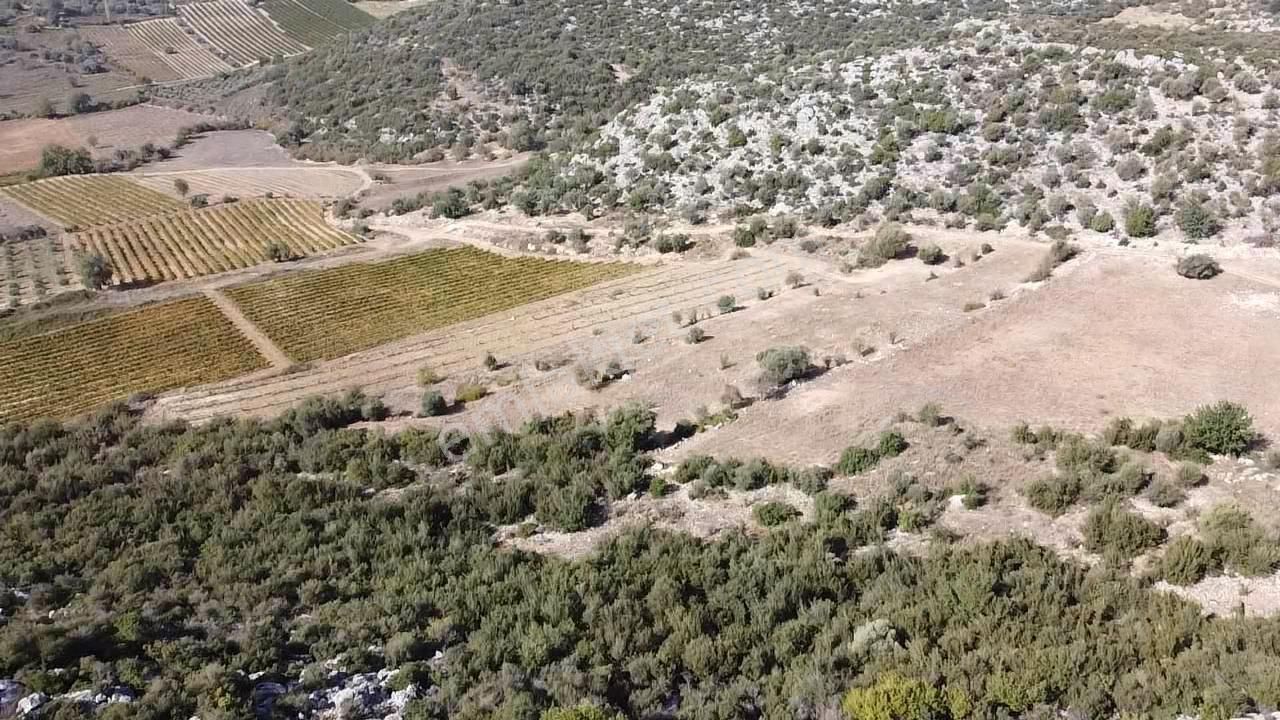 Ulaş Köyü Cok Amaçlı Kullanıma Uygun Satılık Tarla - Görsel 9