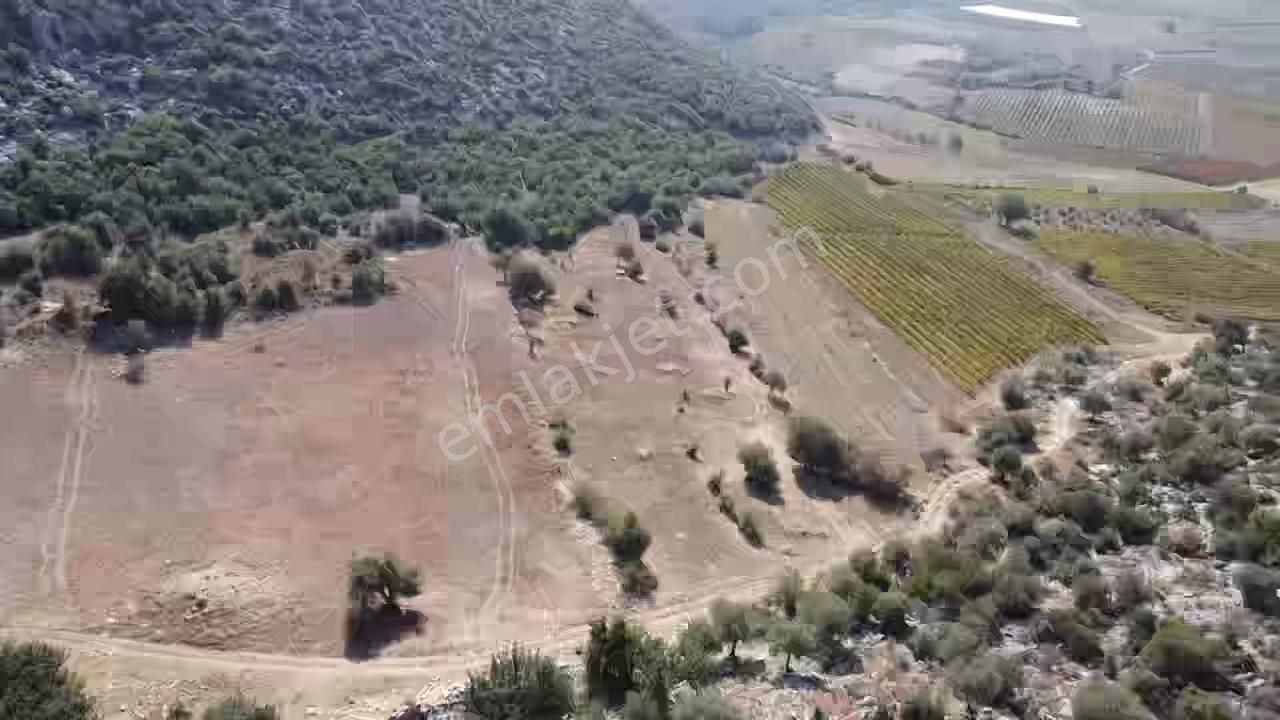 Ulaş Köyü Cok Amaçlı Kullanıma Uygun Satılık Tarla - Görsel 5