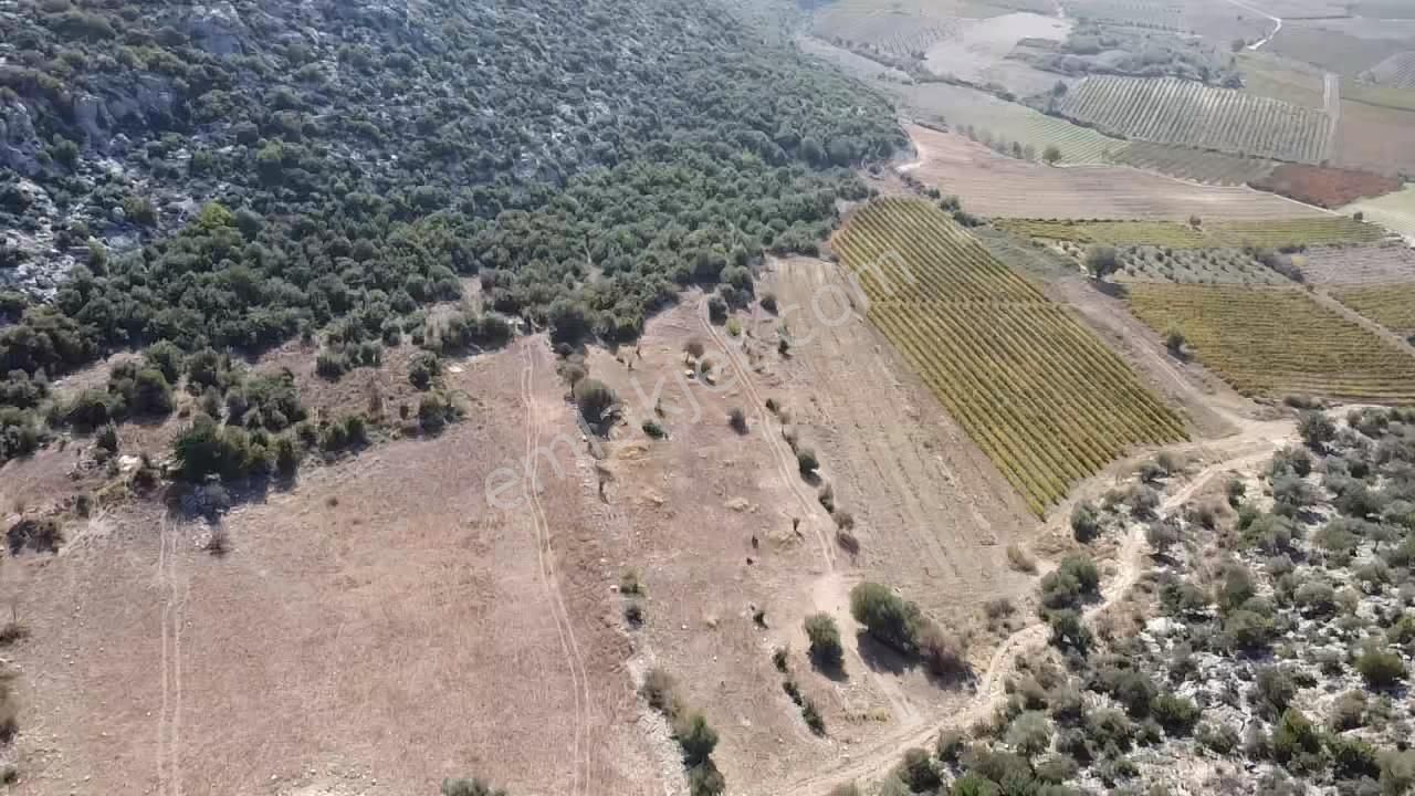 Ulaş Köyü Cok Amaçlı Kullanıma Uygun Satılık Tarla - Görsel 6