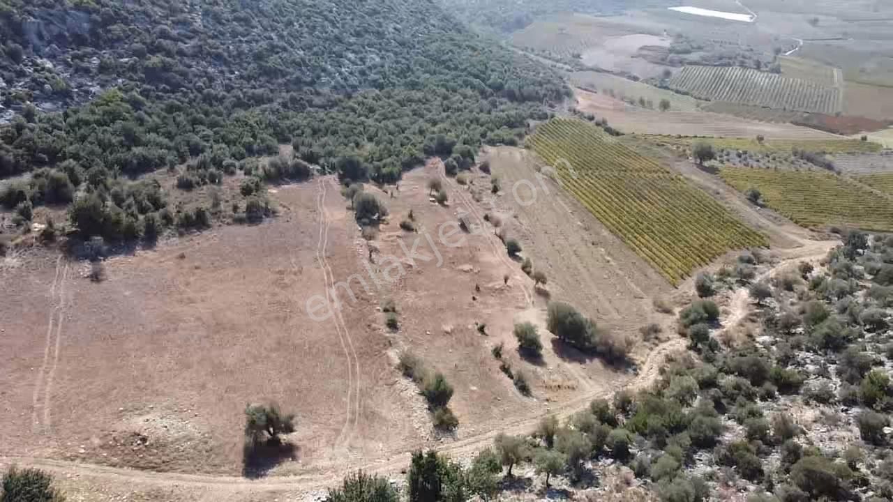 Ulaş Köyü Cok Amaçlı Kullanıma Uygun Satılık Tarla - Görsel 8
