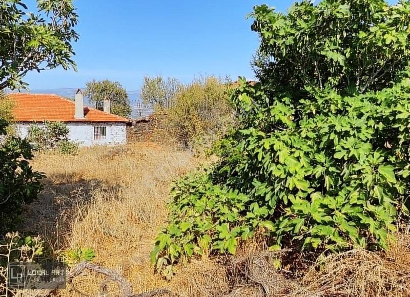 Karacasu Büyükdağlı Satılık Konut İmarlı Karacasu Da Ege'nin Safranbolu'sunda Satılık 390 M2 Köşe Arsa