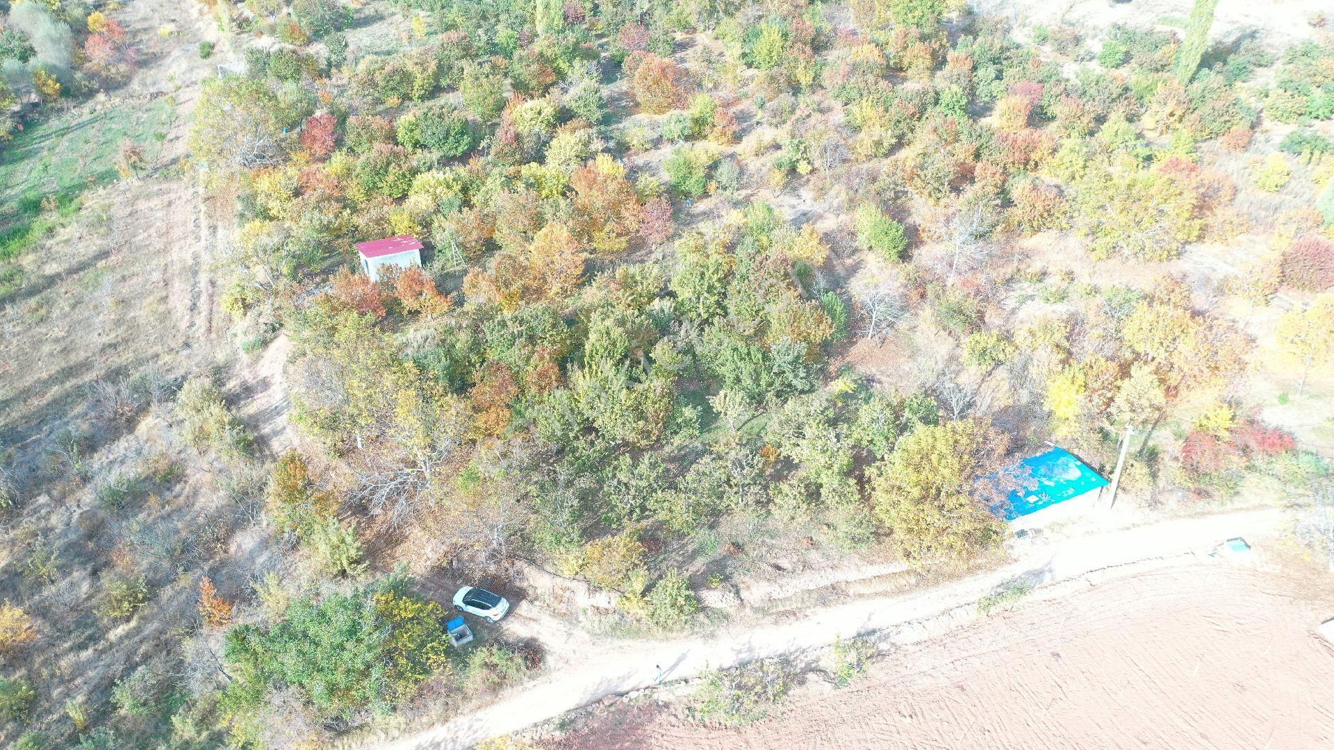 Ulukışla Kılan Köyü (Zafer) Satılık Bağ & Bahçe Niğde Ulukışla Kılan Yaylasında Fırsat Bahçe