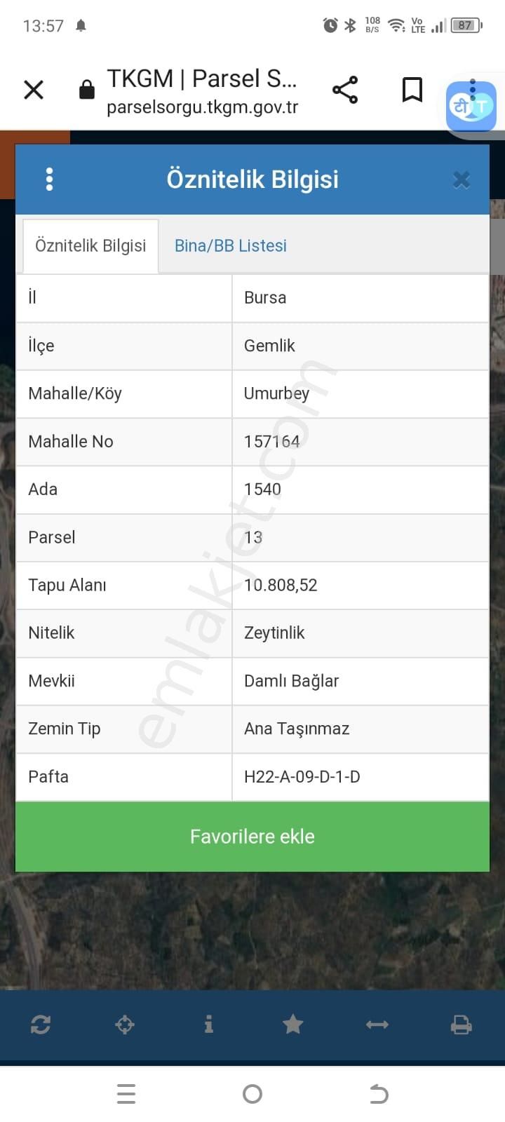 Gemlik Umurbey Satılık Zeytinlik  BURSA GEMLİK UMURBEY DAMLI BEYLER MEVKİİNDE  2 DÖNÜM  ZEYTİNLİK SATILIK