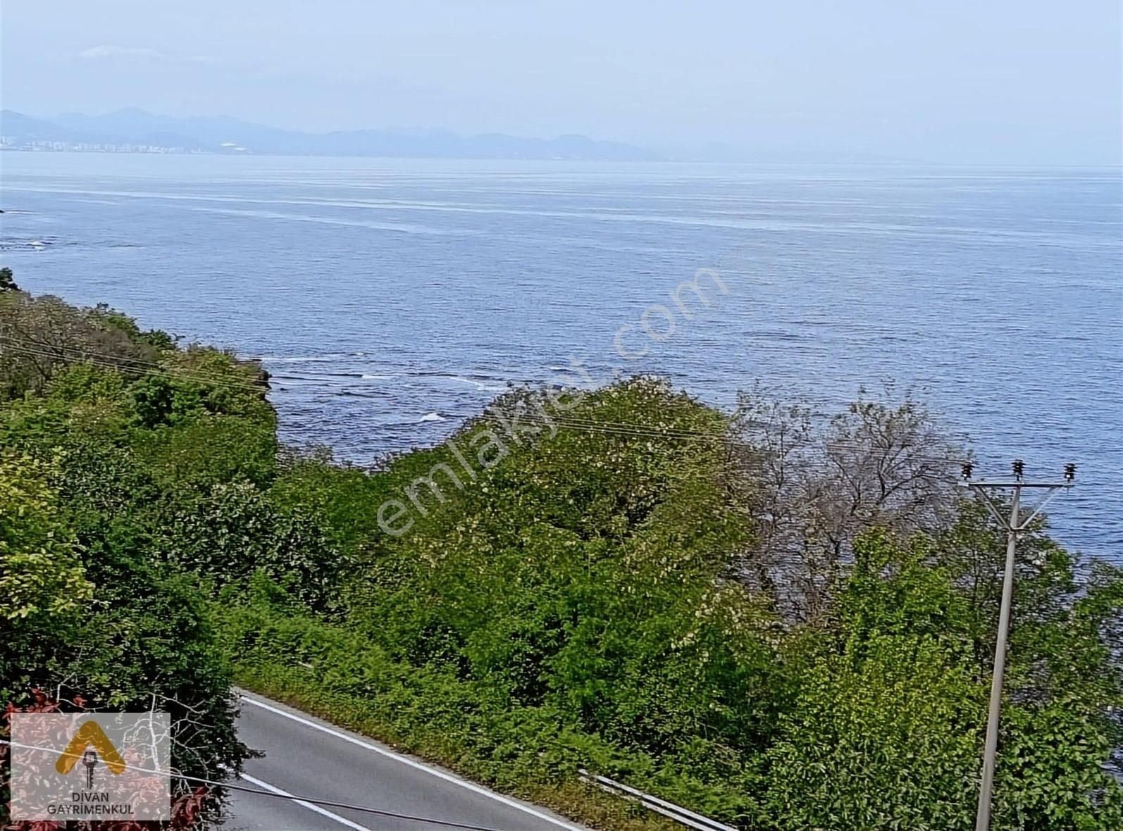 Perşembe Çaytepe Satılık Tarla DİVAN GAYRİMEKUL ÇAYTEPE DENİZ KENARINDA ACİL SATILIK ARSA