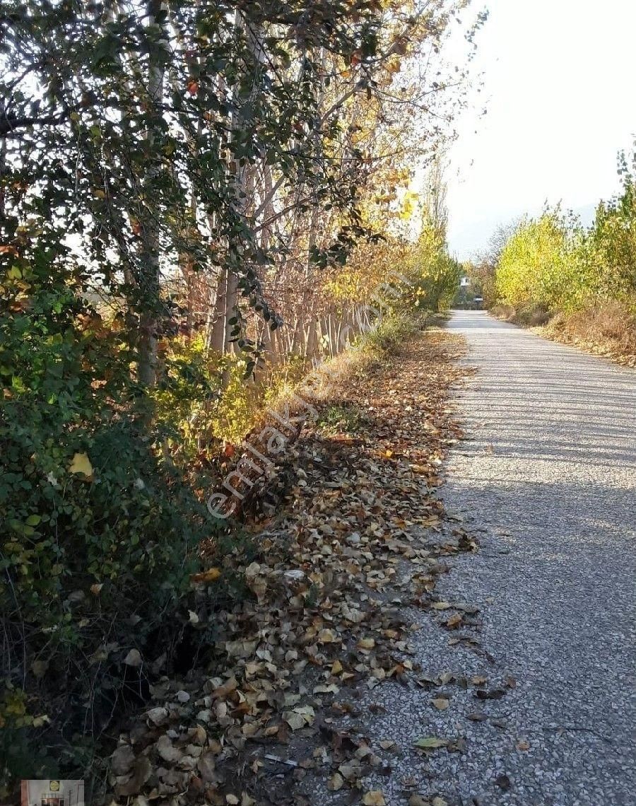 Tokat Merkez Büyükbağlar Köyü Satılık Bağ & Bahçe Büyükbağlar Köyünde 4900 M2 Satılık Tarla (daire Takaslı)