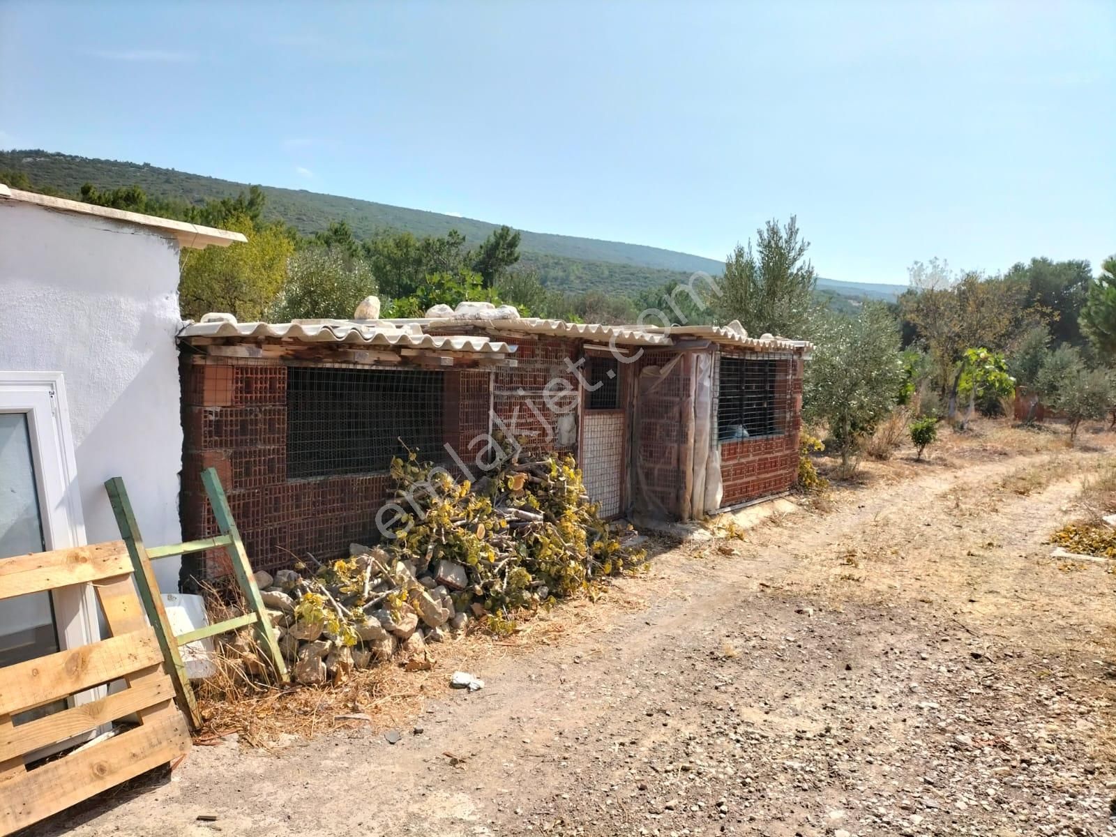 Urla Zeytineli Köyünde Satılık Çiftlik - Görsel 23