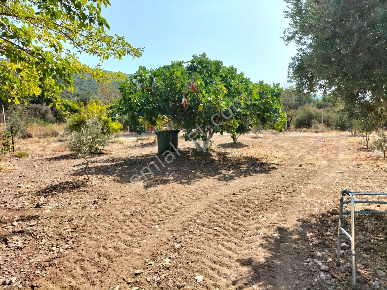 Urla Zeytineli Köyünde Satılık Çiftlik - Görsel 27