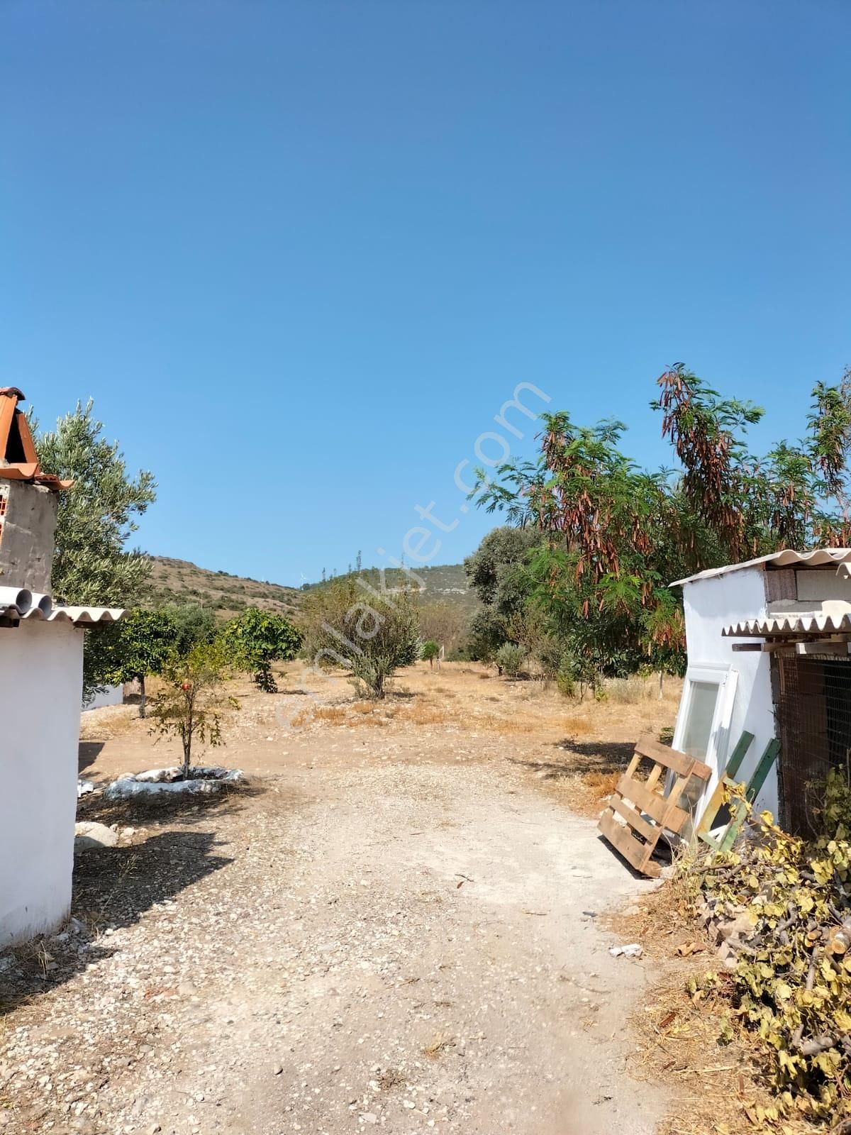 Urla Zeytineli Köyünde Satılık Çiftlik - Görsel 18