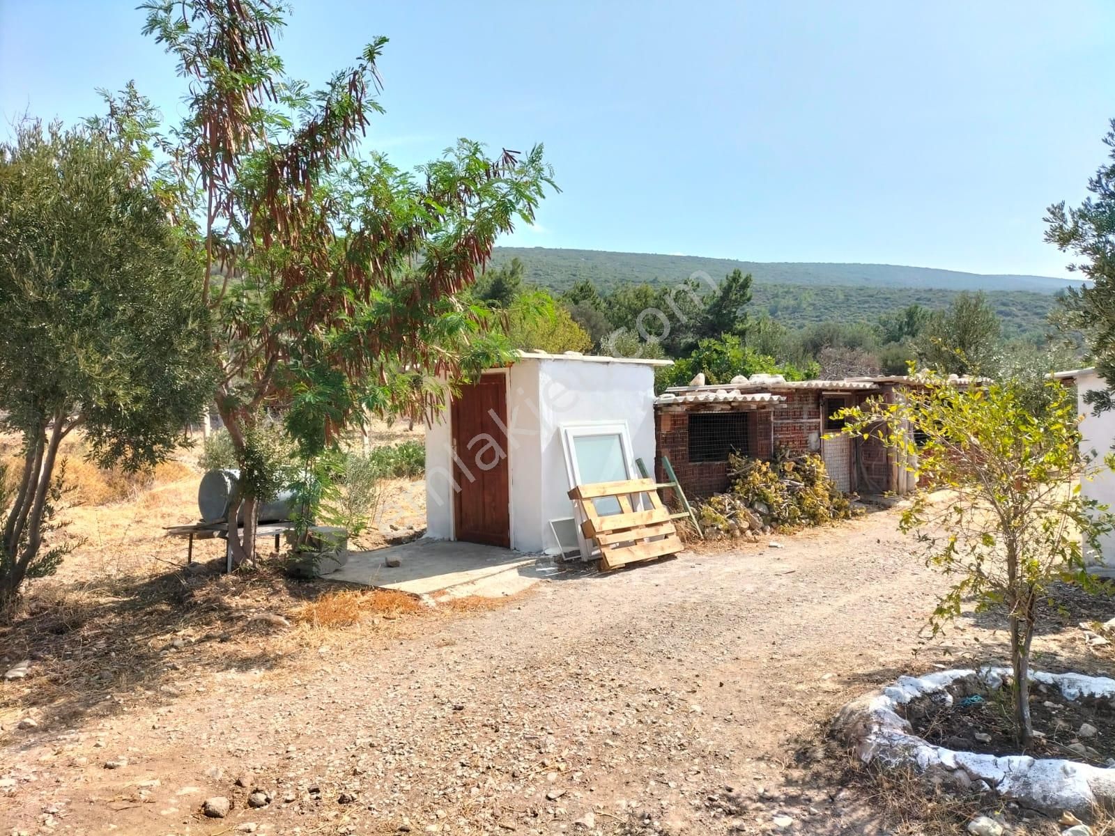 Urla Zeytineli Köyünde Satılık Çiftlik - Görsel 17