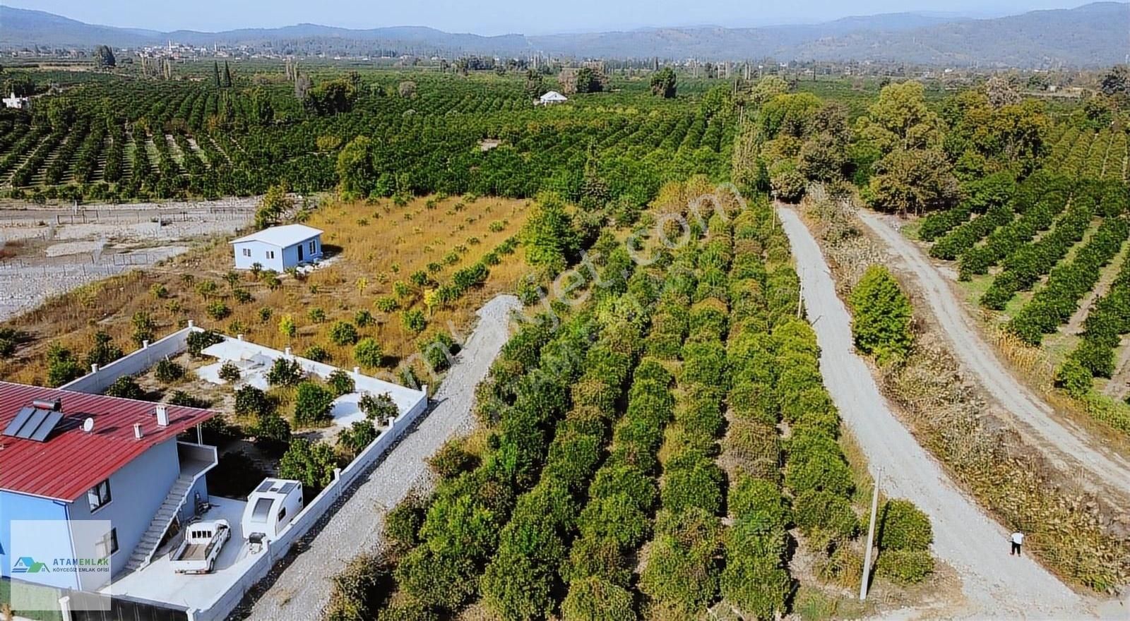 Köyceğiz Döğüşbelen Satılık Bağ & Bahçe Atam Emlaktan Döğüşbelende Satılık 3000 M2 Müstakil Parsel