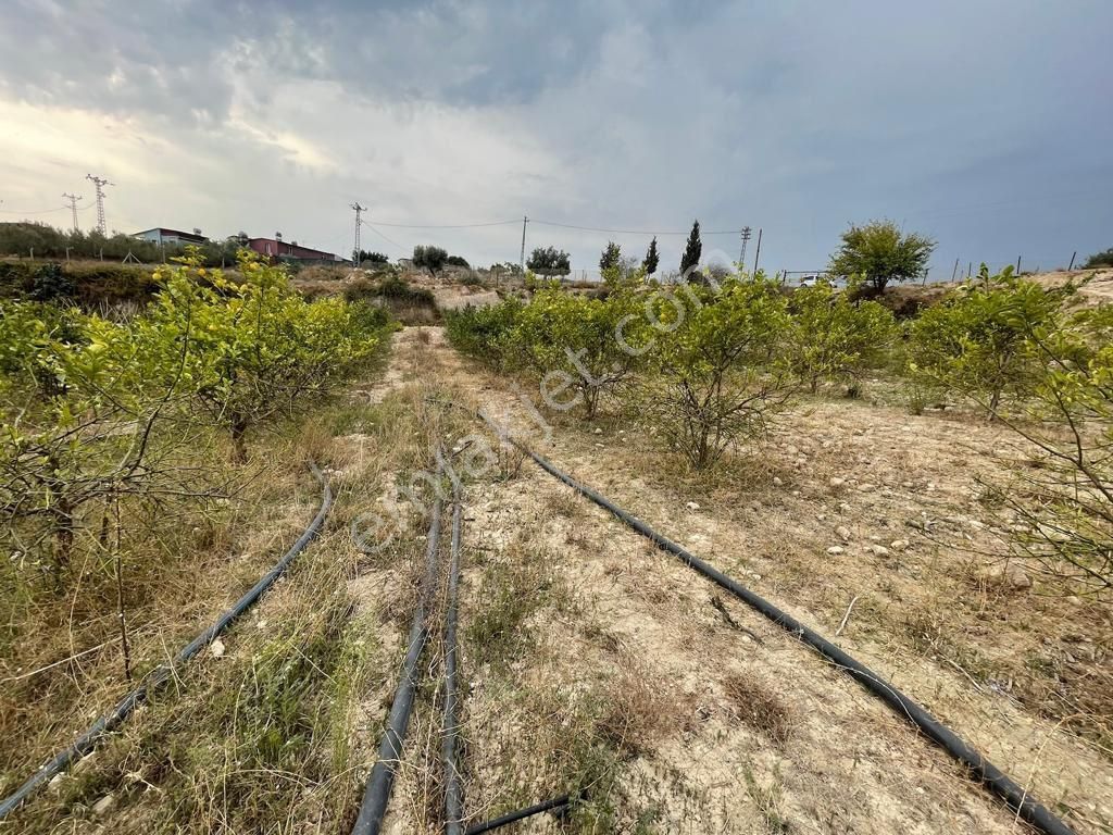 Köy İçerisinde Satlık Kelepir Arsa - Görsel 9