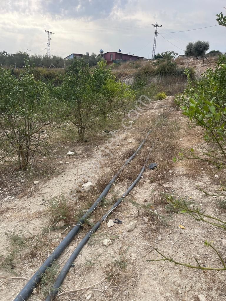 Köy İçerisinde Satlık Kelepir Arsa - Görsel 8