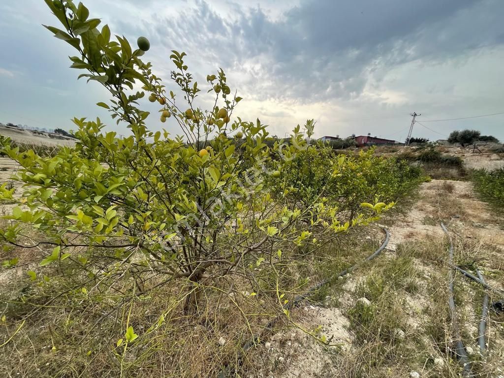 Köy İçerisinde Satlık Kelepir Arsa - Görsel 10