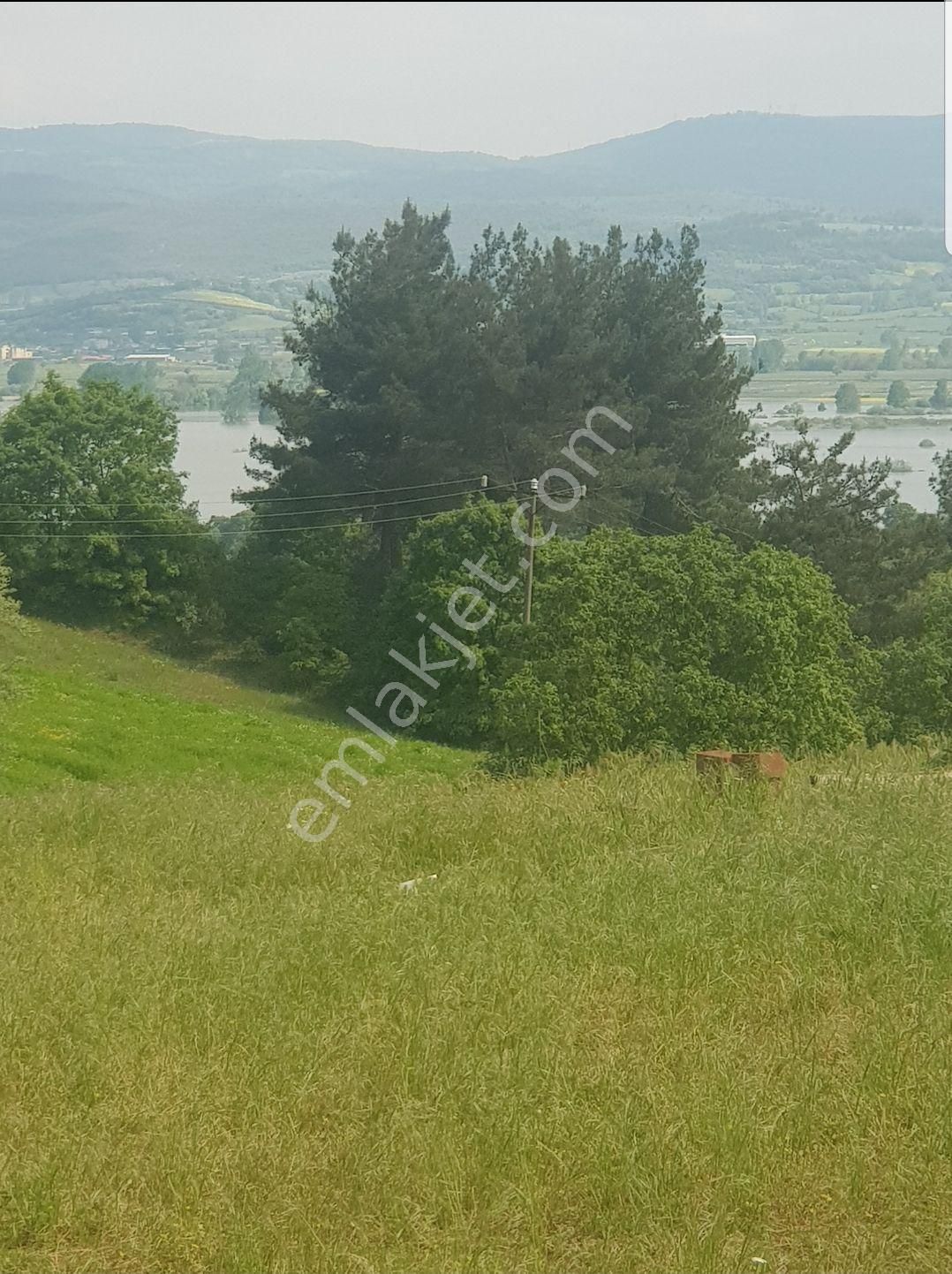 Yenice Akköy Köyü Satılık Tarla Kazdağları Yatırımlık Tarla 