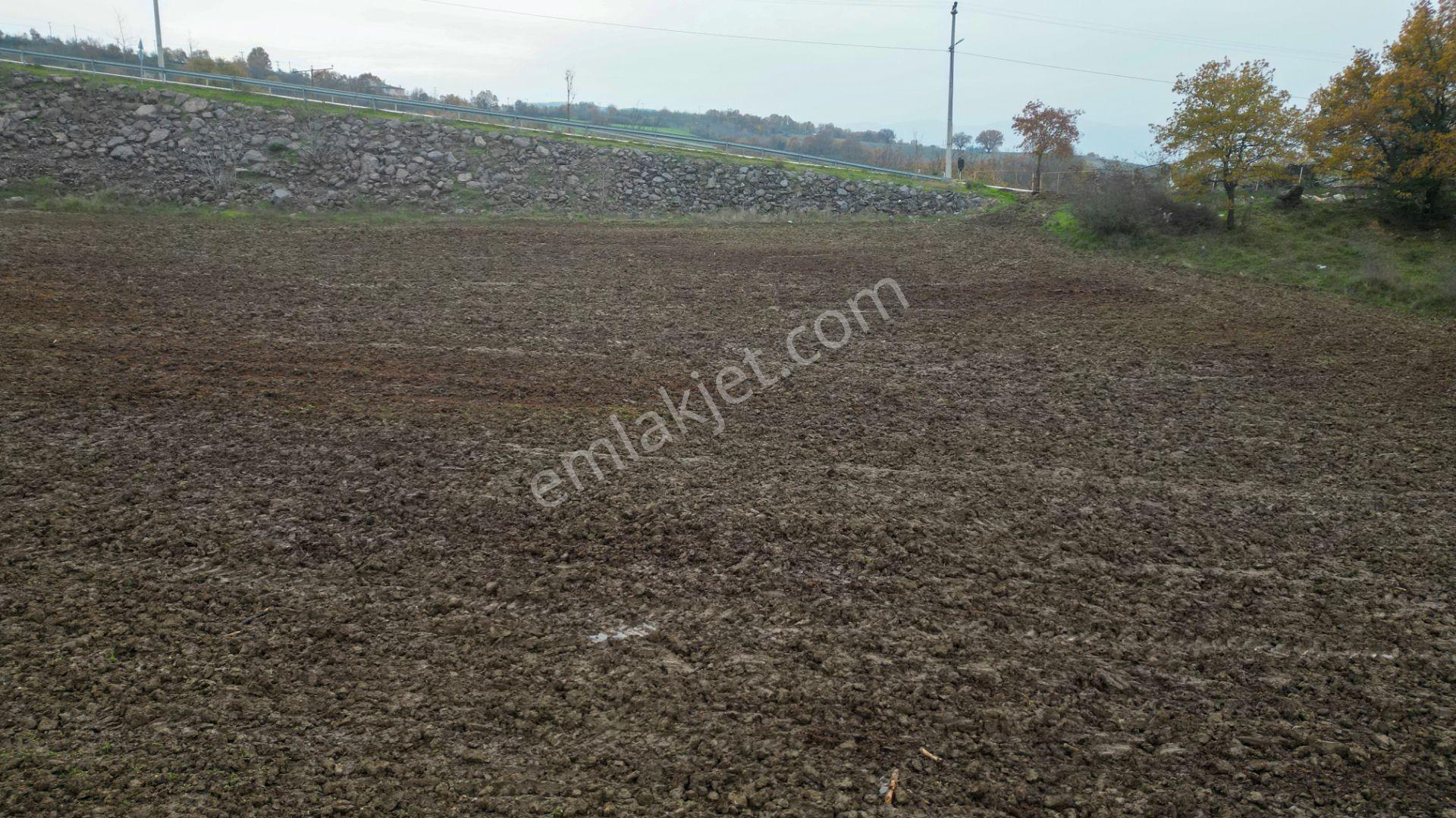 Kocaeli Karamürsel Akçat 7451 M2 %5 İmarlı Satılık Tarla - Görsel 8
