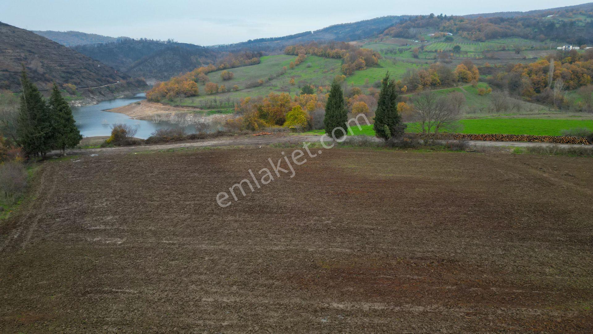 Kocaeli Karamürsel Akçat 7451 M2 %5 İmarlı Satılık Tarla - Görsel 10