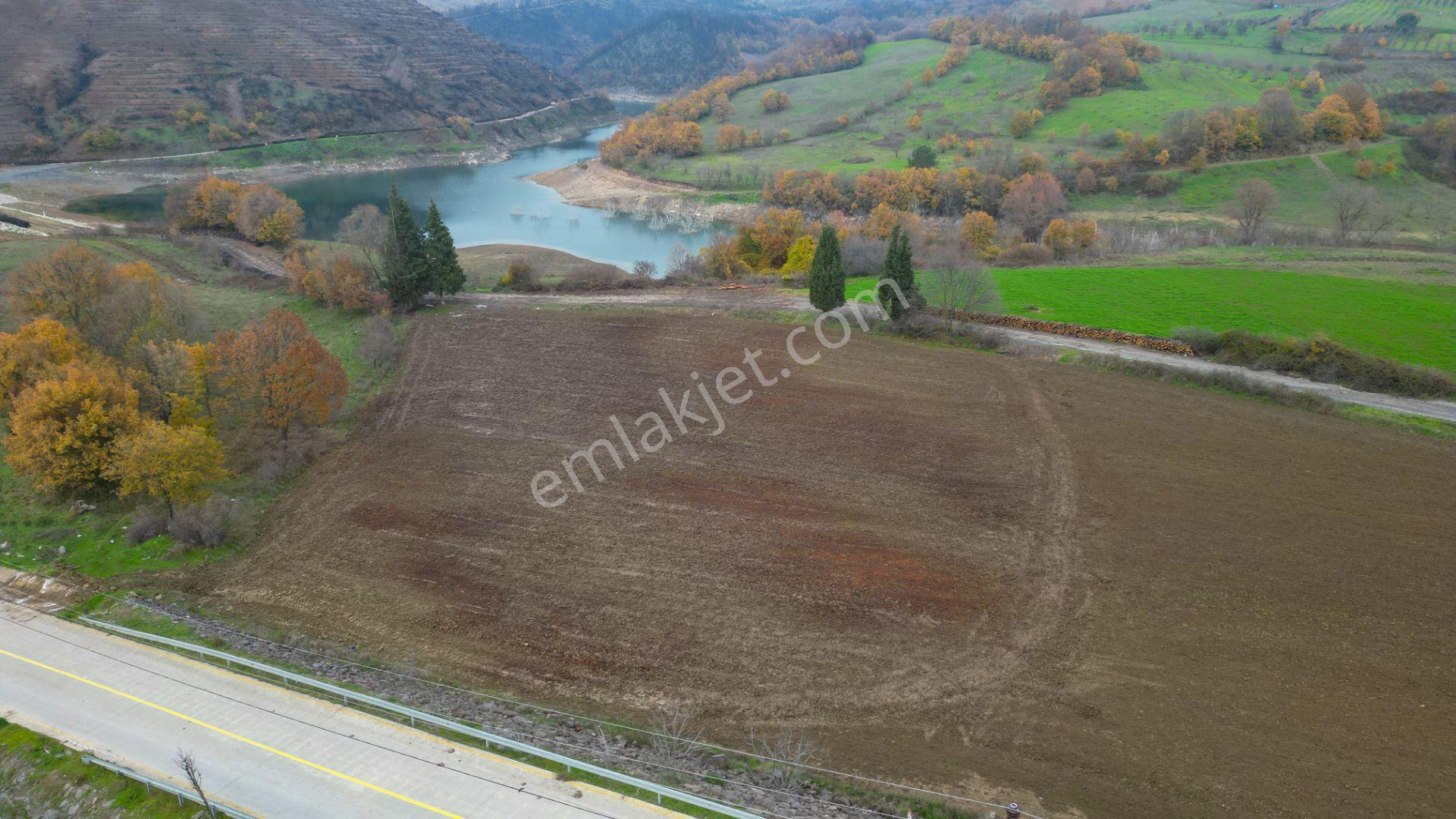 Kocaeli Karamürsel Akçat 7451 M2 %5 İmarlı Satılık Tarla