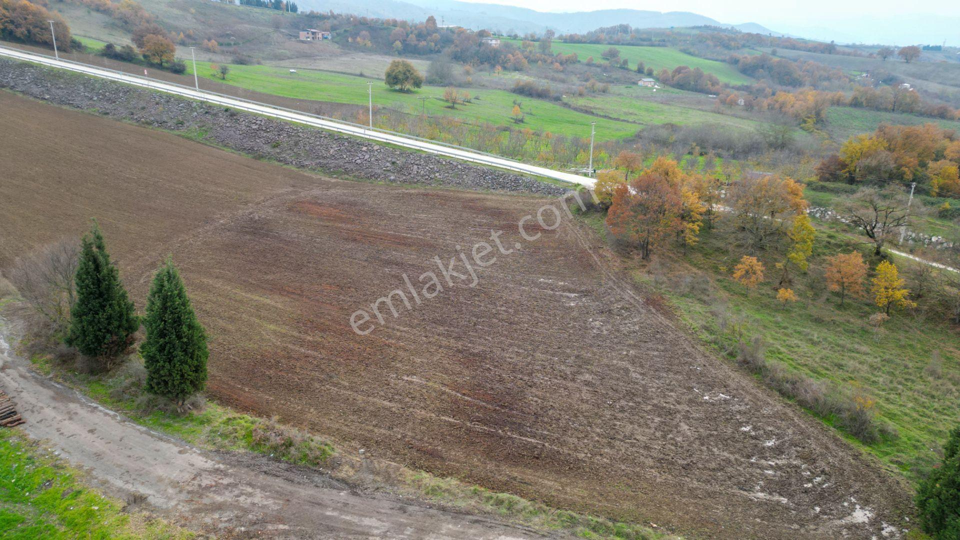 Kocaeli Karamürsel Akçat 7451 M2 %5 İmarlı Satılık Tarla - Görsel 3