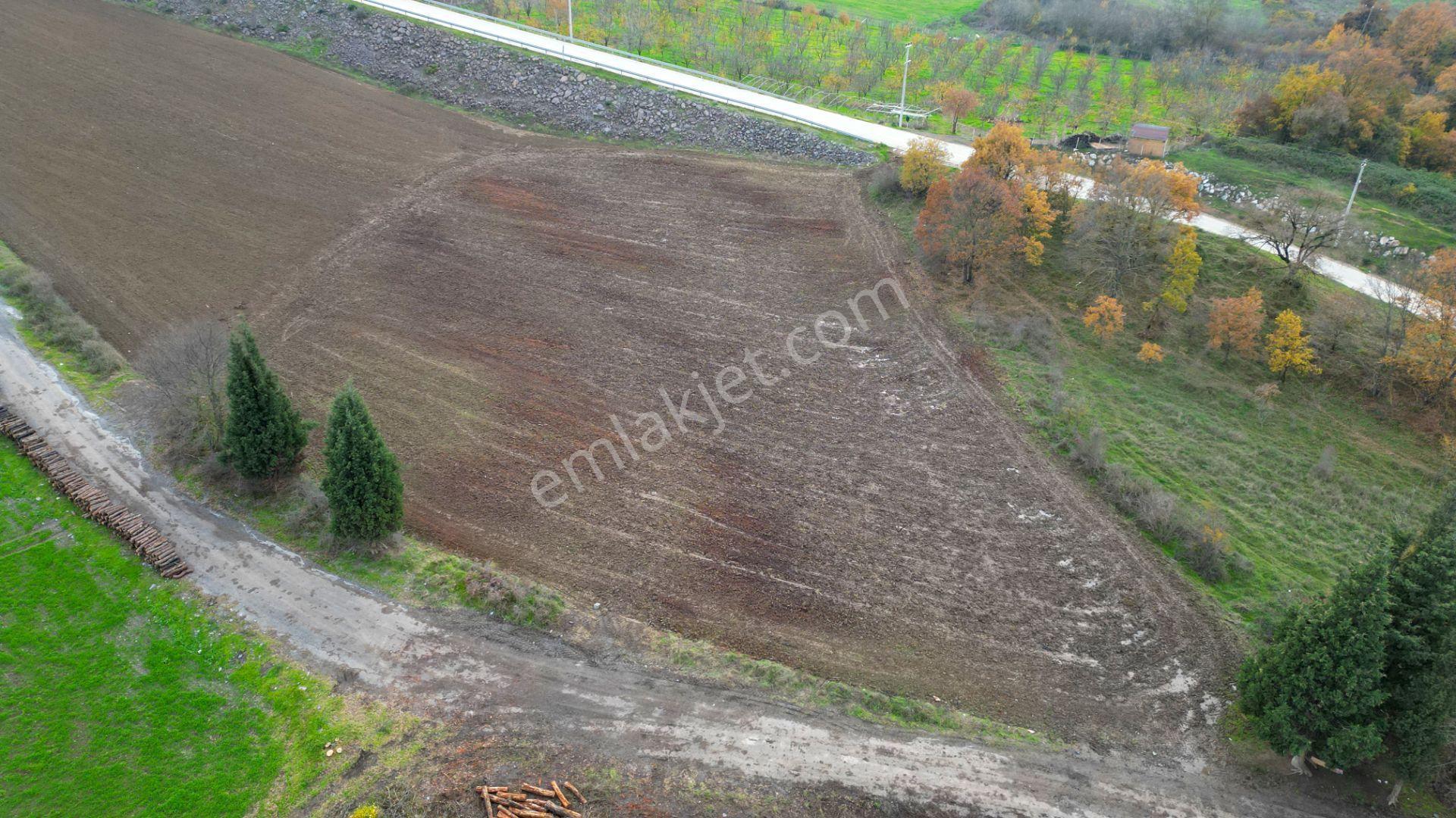 Kocaeli Karamürsel Akçat 7451 M2 %5 İmarlı Satılık Tarla - Görsel 4