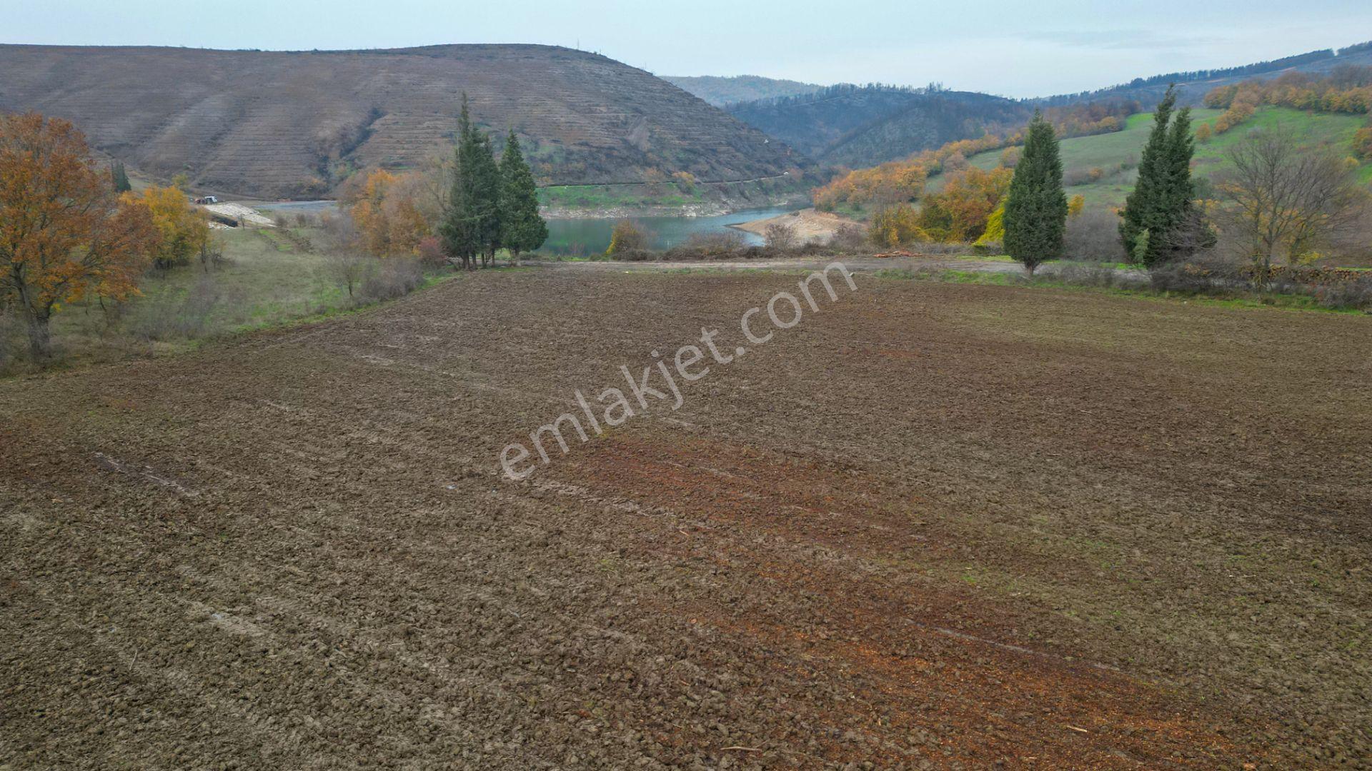 Kocaeli Karamürsel Akçat 7451 M2 %5 İmarlı Satılık Tarla - Görsel 6