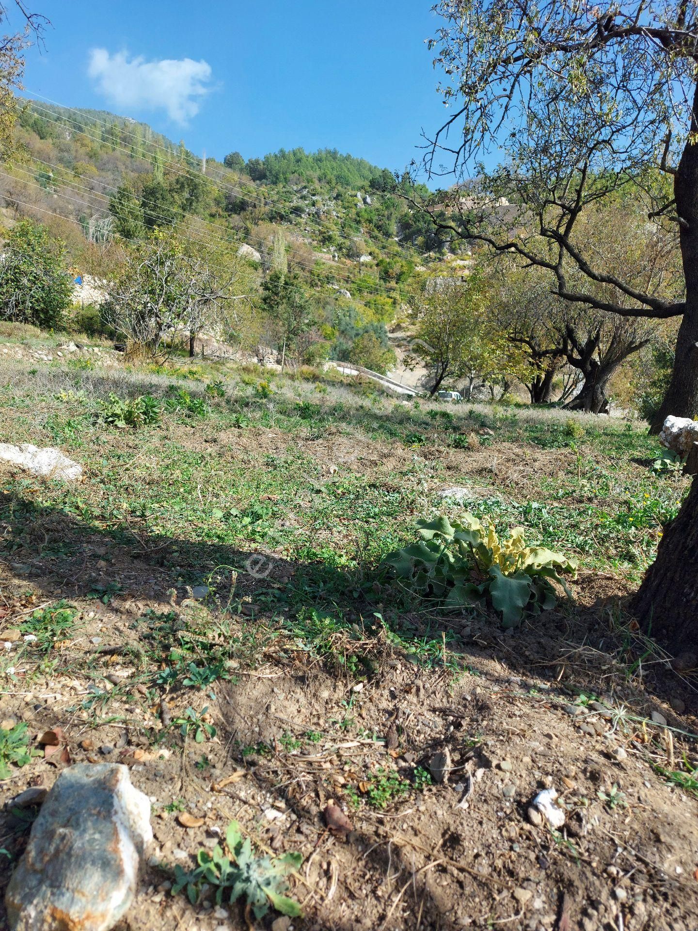 Alanya Bademağacı Satılık Tarla Alanya Bademağacı Mahallesi Satılık Tarla