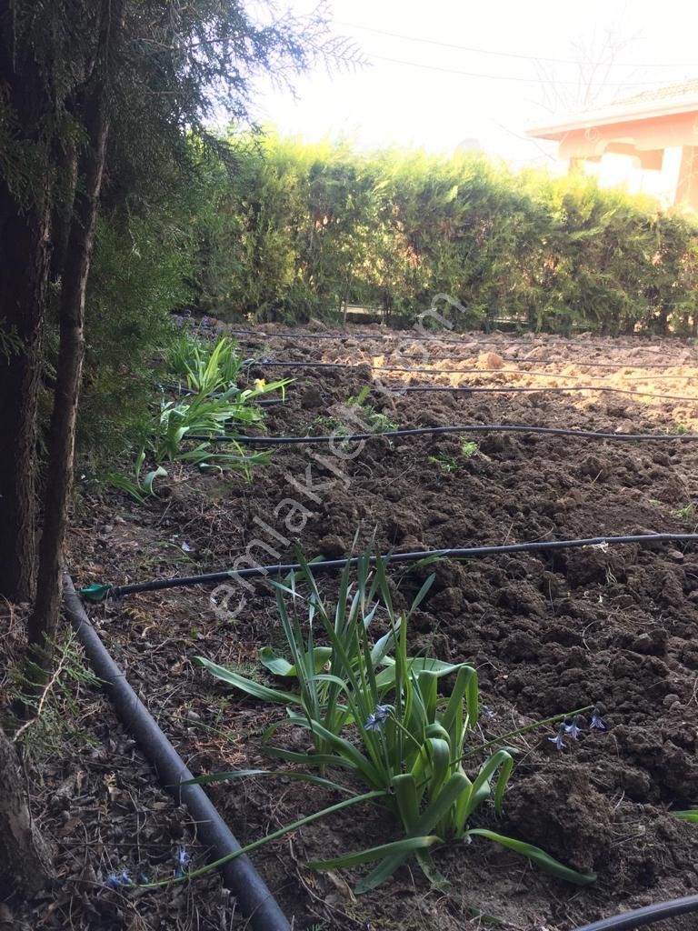 Polatlı Kıran Harman Mah.satılık Müstakil Ev - Görsel 6