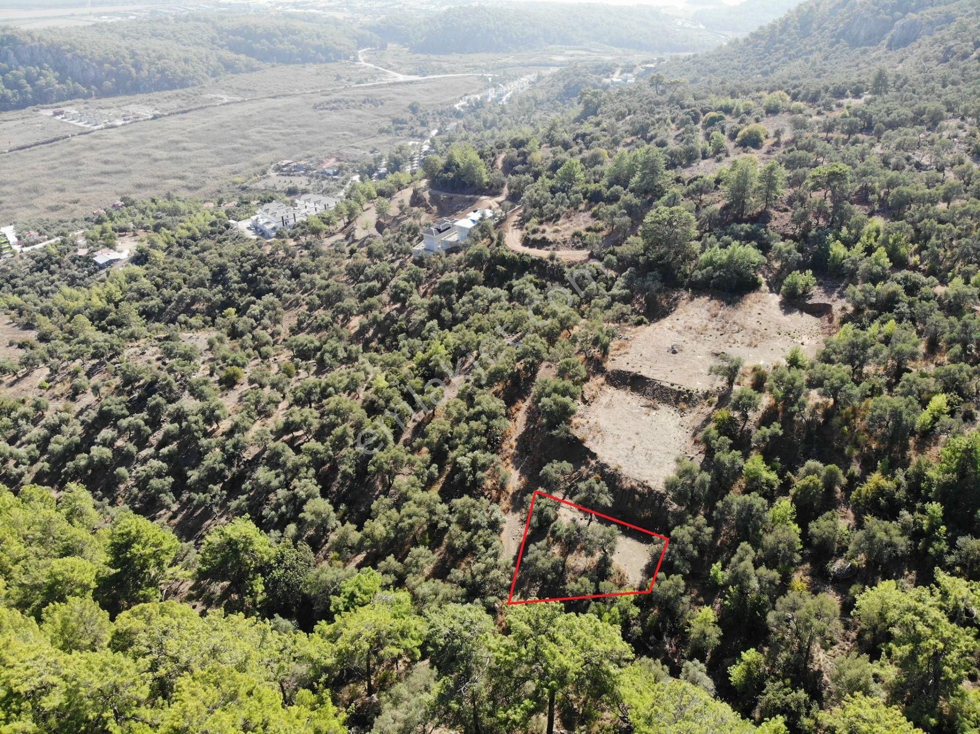 Ortaca Sarıgerme Satılık Konut İmarlı  Sarıgerme de 403 m2 arsa satılık