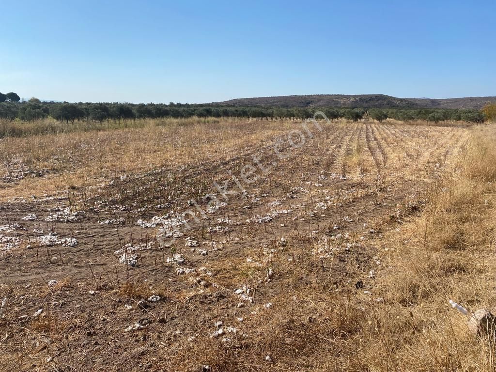 Bergama Aziziye Satılık Tarla Bergama Aziziye Mah Satılık Tarla