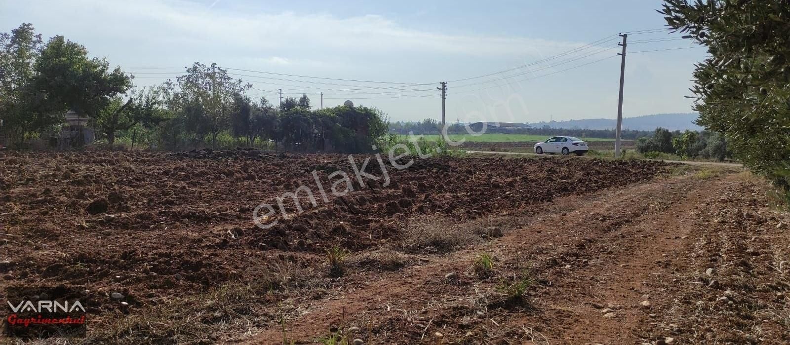 Menderes Oğlananasında 8500 M2 Tek Tapu Tepsi Gibi Arazi - Görsel 10